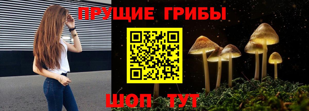 Ипатово  Псилоцибиновые грибы GOLDEN TEACHER  Псилоцибиновые грибы ЛСД  Вход с VPN 
